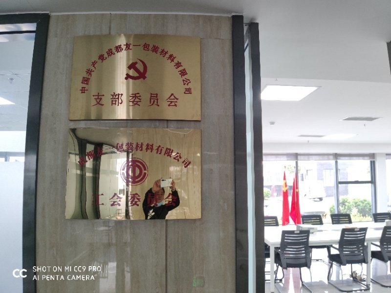 热烈祝贺友谊集团成都分公司党支部在2020年3月11日授牌成立，支部书记曹云(行政部经理)